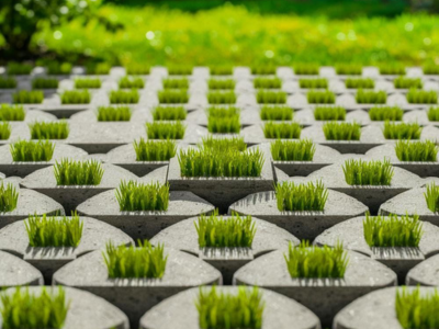 Grass Pavers